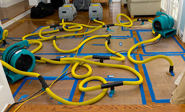 Professional Burst Pipe Water Damage technician working in Casnovia, MI